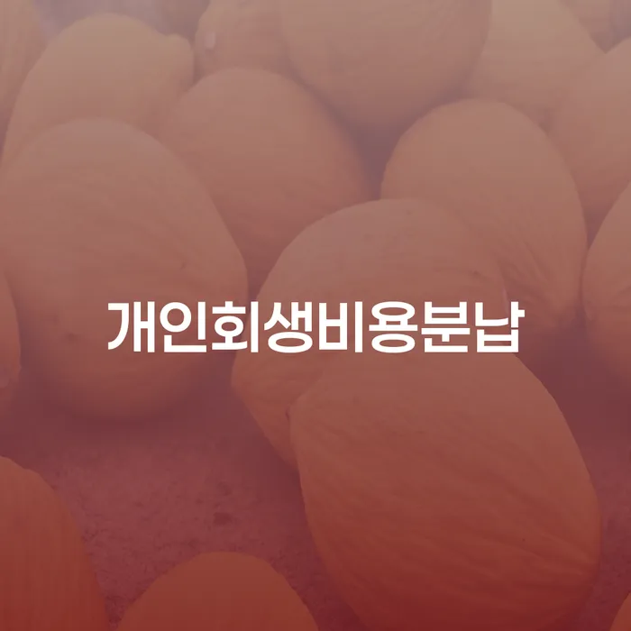 개인회생기각 당했을 때 개인회생 처리방법 면책받고