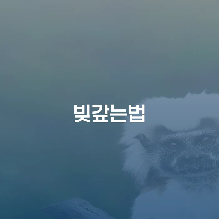 금리저렴한대출 연체 시 개인회생 문제해결방법 간편비교