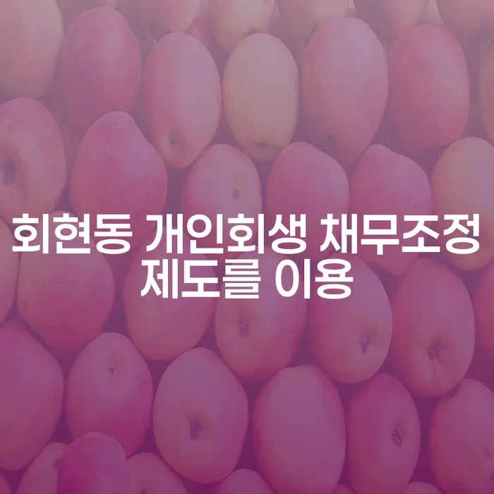 회현동 개인회생 채무조정제도를 이용