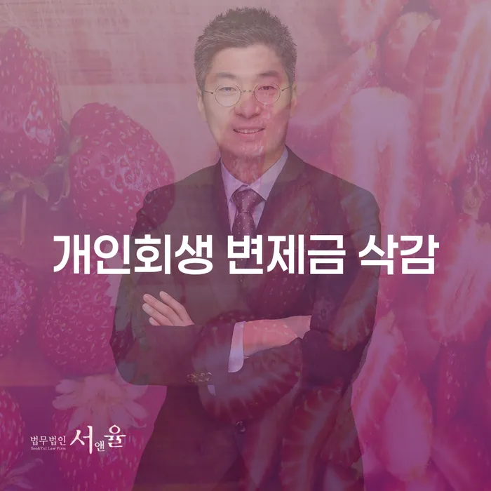 개인회생 변제금 삭감, 희망의 빛을 찾을 수 있을까요?