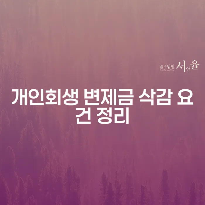 개인회생 변제금 삭감 요건, 어떻게 준비해야 할까요?
