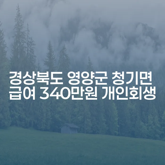 경상북도 영양군 청기면 급여 340만원 개인회생, 당신도 가능한가요?