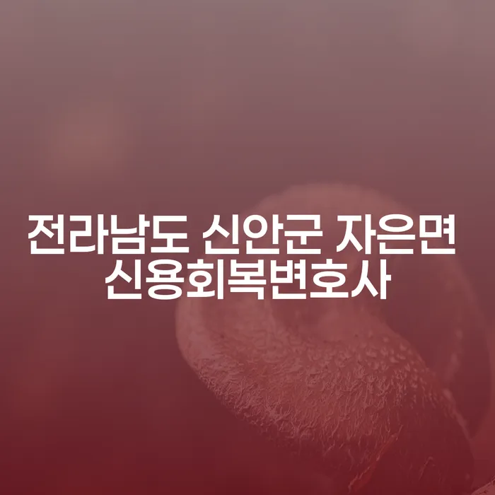 전라남도 신안군 자은면에서 신용회복과 파산을 고민하는 당신을 위한 완벽한 가이드
