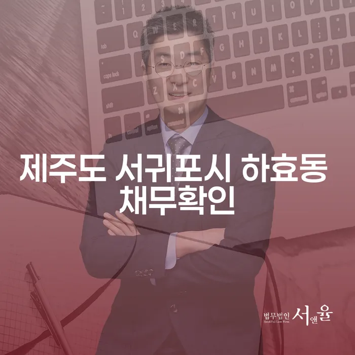 제주도 서귀포시 하효동 채무확인, 어떻게 해결할 수 있을까요?